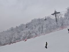 -中旅松花湖滑雪场