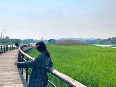 -太湖湖滨国家湿地公园-停车场
