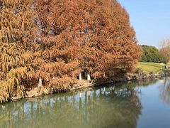 -九里河湿地公园