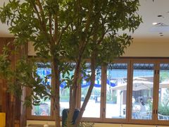 -春家·非遗手工小吃(徐汇万科广场店)