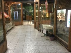 -上海大自然野生昆虫馆(东方明珠·爬宠昆虫探索中心)