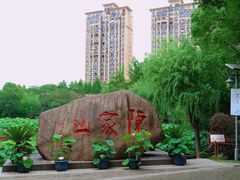 -陈家山荷花公园