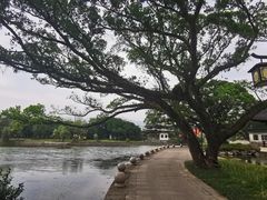 -江心屿景区
