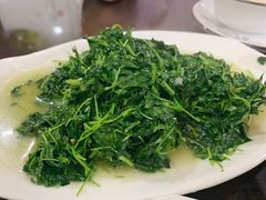 草头-溱湖八鲜菜馆