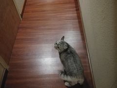 -H立方实景剧情密室(天河旗舰店)
