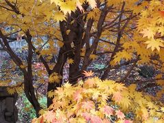 -丹东天桥沟景区