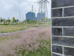 -王借岗森林公园