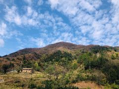 -秦岭天竺山生态文化旅游景区