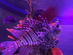 -沈阳海洋探索中心