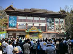 -西双版纳原始森林公园