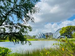 -上海植物园-4号门售票处