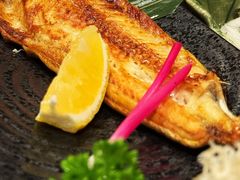 -九州酒场ひこぞう(2号店)