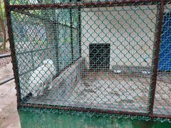 -广东茂名森林公园