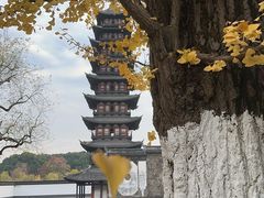 -上海方塔园