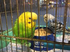 -草原塞蛮羊火锅城(港湾店)