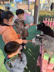 -萌宠亲子动物乐园(槐房万达店)