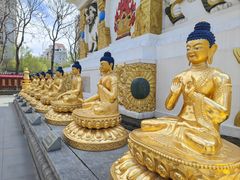-护国法轮寺