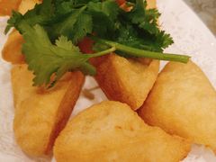 普宁炸豆腐-陆记鹅庄·潮汕菜·狮头鹅(大仟里店)