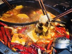 -销魂美蛙鱼头火锅(上海首店)