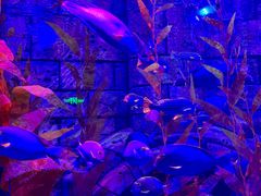 -波塞冬旅游度假区