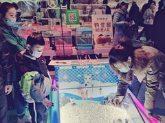 -苏州海洋馆
