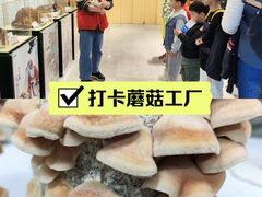 -明治雪糕（广州）有限公司