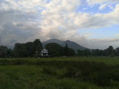 -瑞穗牧场
