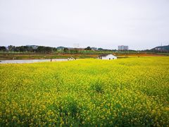 -光明小镇欢乐田园