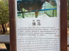 -南昌动物园