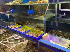 水产区-辉记炭烧海鲜大排档·老字号(福田店)