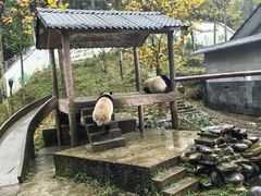 -碧峰峡风景区