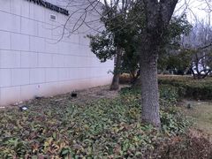 -思念果岭悦温泉