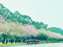 -广东科学中心