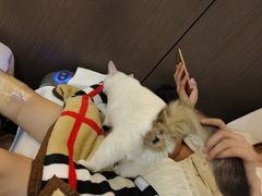 -澜悦汇推拿足道(蓝村路店)