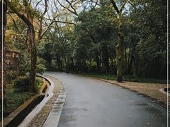 -灵谷景区