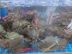 -徐记小怪兽肉蟹煲(中央大街店)