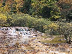 -黄龙山原始森林景区