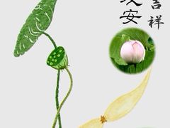 -燕云楼(南京东路店)