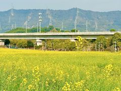 -光明小镇欢乐田园