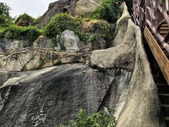 -八卦楼风琴博物馆
