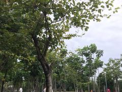 -深圳湾公园(南山区)