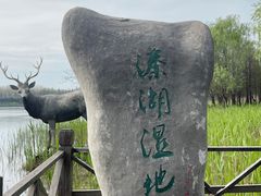 -溱湖国家湿地公园