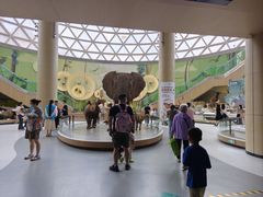 -陕西自然博物馆