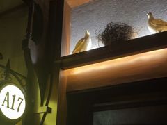-骑士KTV(红谷滩万达店)