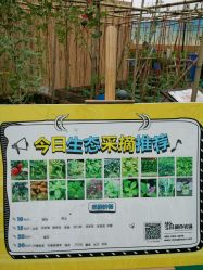 -梦田都市农场(银泰城店)