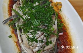 White Crucian Carp