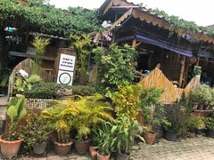 -Jungle Kitchen