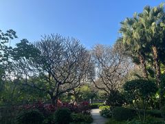 -晓港公园