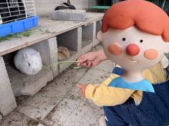 -菊园百果园