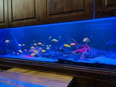 -Golden Lily河内巴黎法越料理餐厅(建国西路店)